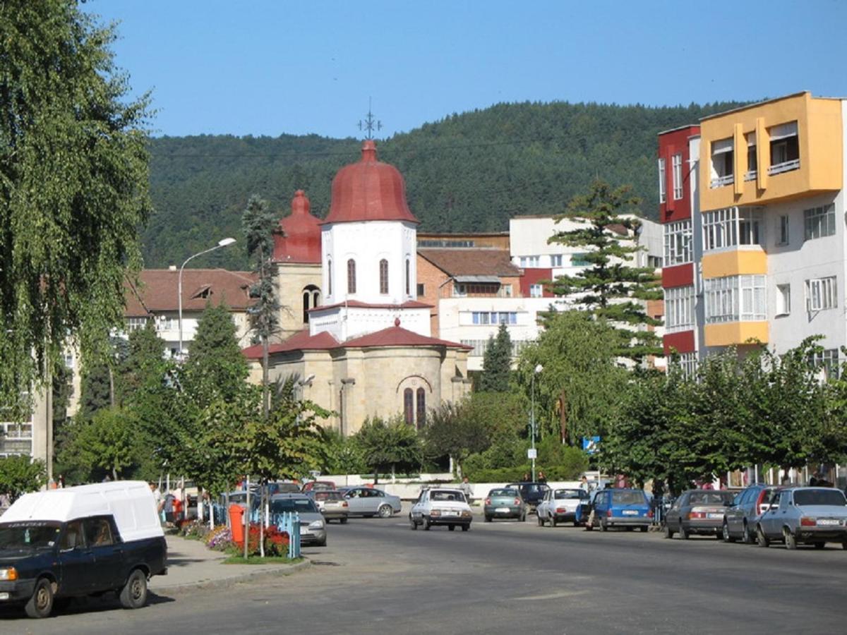 Garsoniera Jad Apartment Tirgu Ocna Bagian luar foto